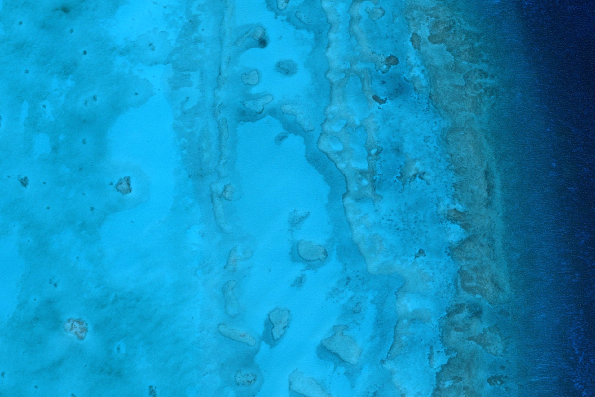 South Bahamas - Andros Coral Reef