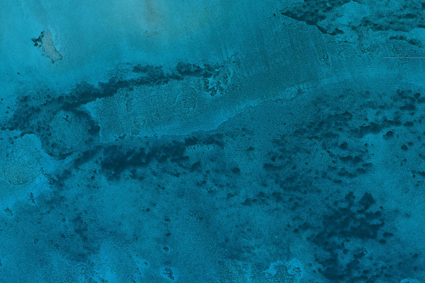 South Bahamas - Chub