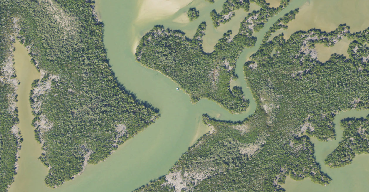 West Florida Aerial