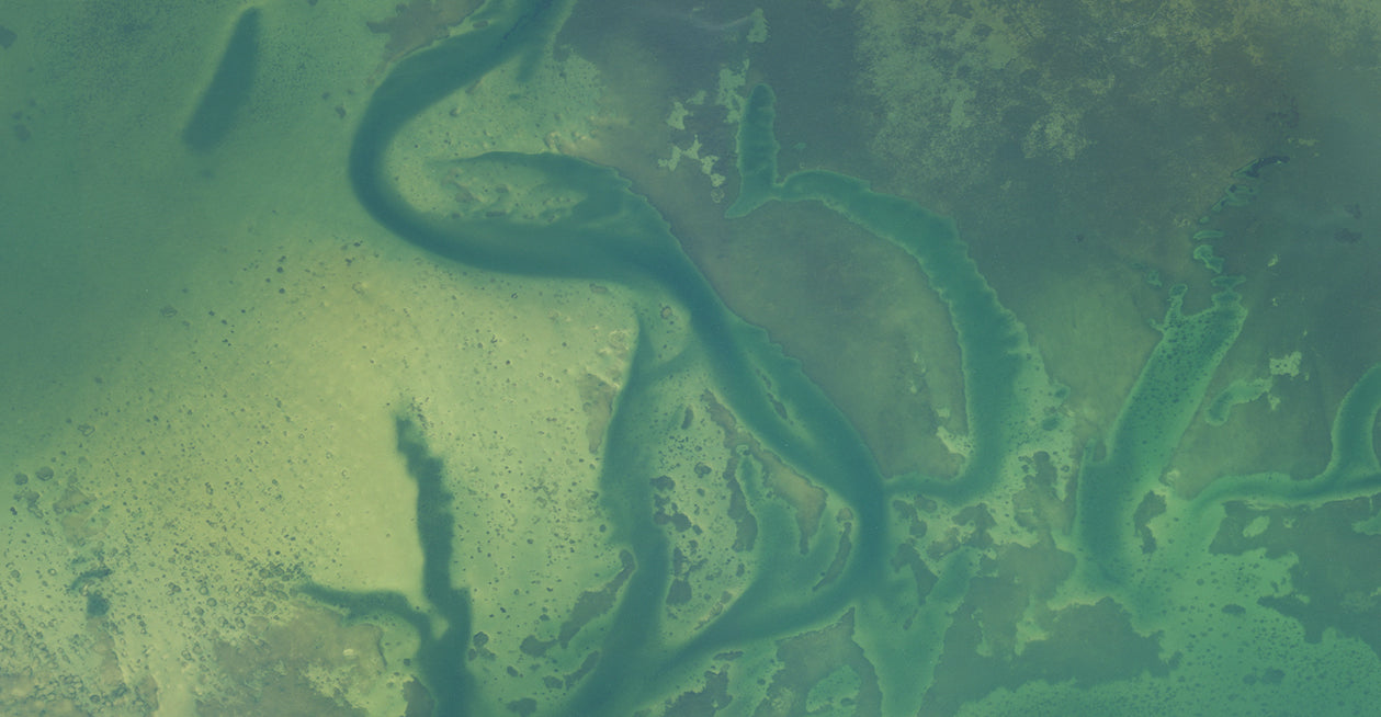 West Florida Aerial