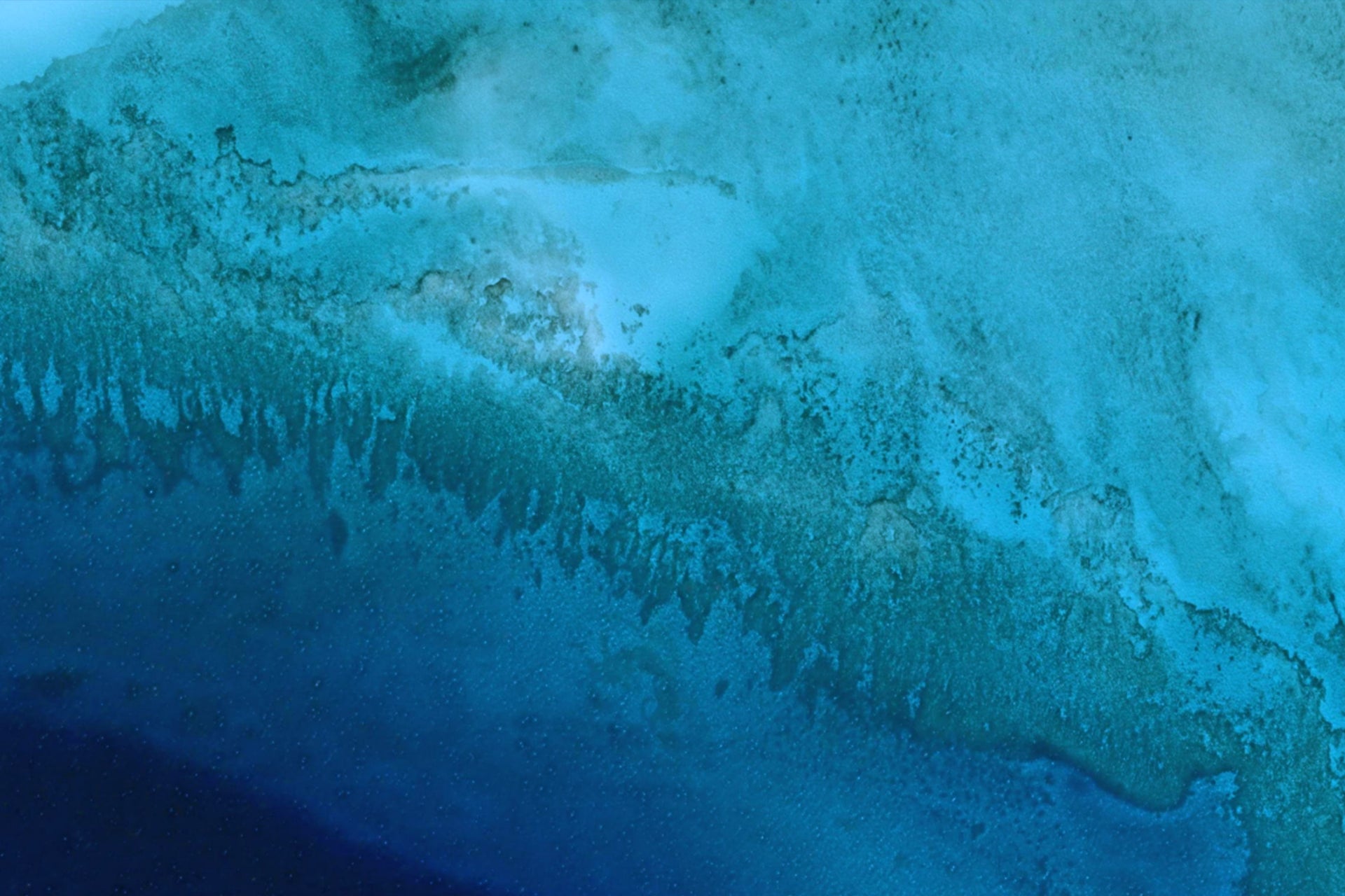 South Bahamas - Chub Reef